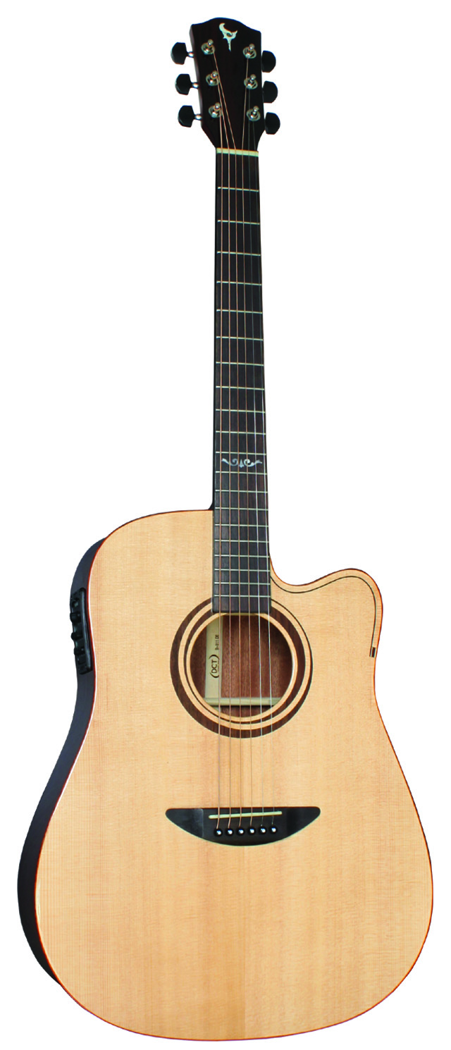 即納好評【美品】DCT Acoustic Guitar C-311 CE ギター