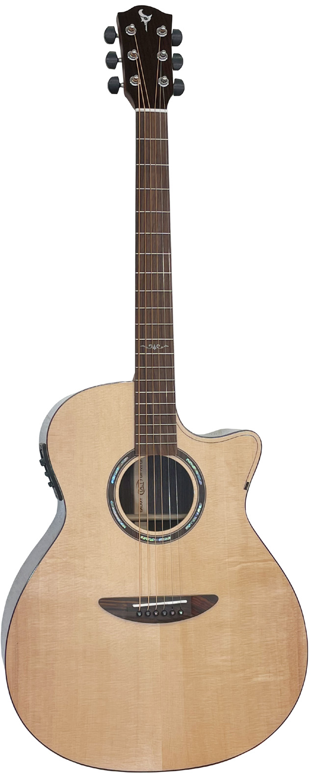 DCT Acoustic Guitar | dct2019