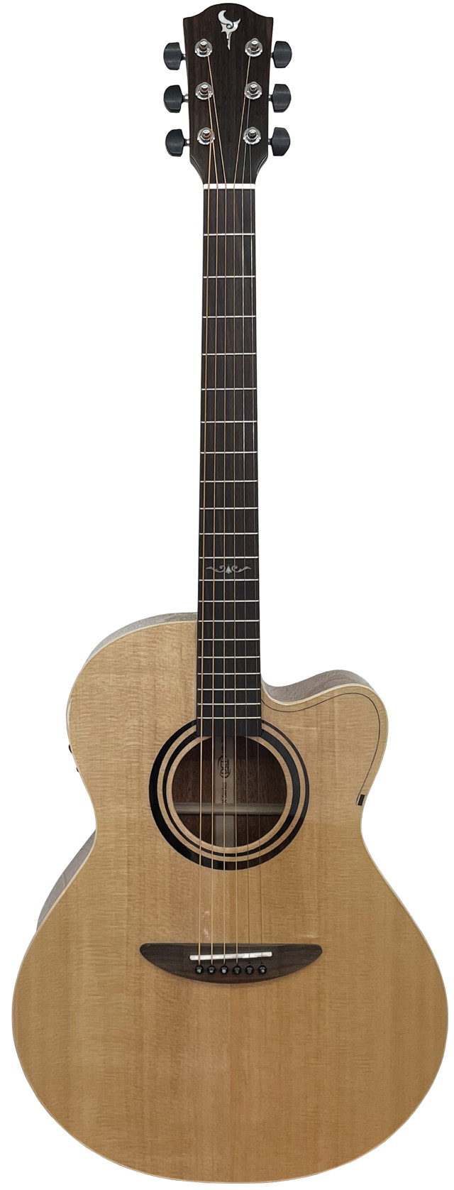 DCT Acoustic Guitar | dct2019